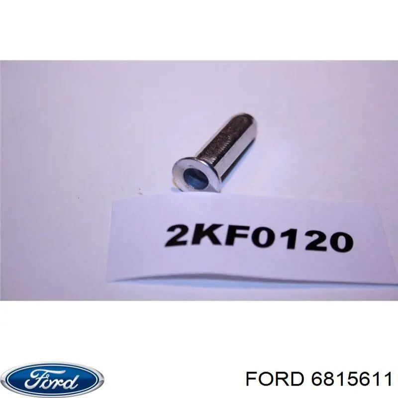 6815611 Ford Porta traseira (3ª/5ª porta-malas (tampa de alcapão)