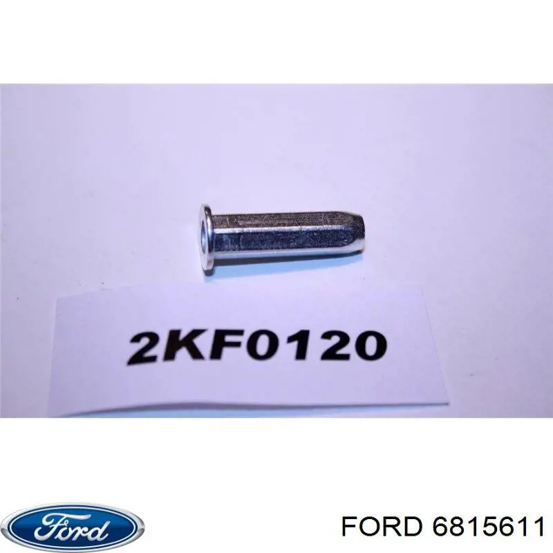 Porta traseira (3ª/5ª porta-malas (tampa de alcapão) Ford 6815611 preço, a partir de 5,06 USD