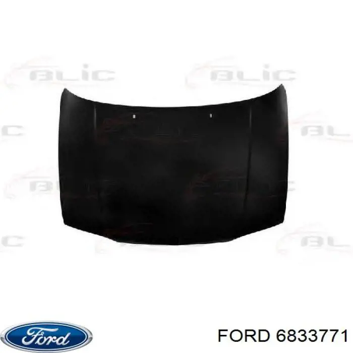 6833771 Ford Capota