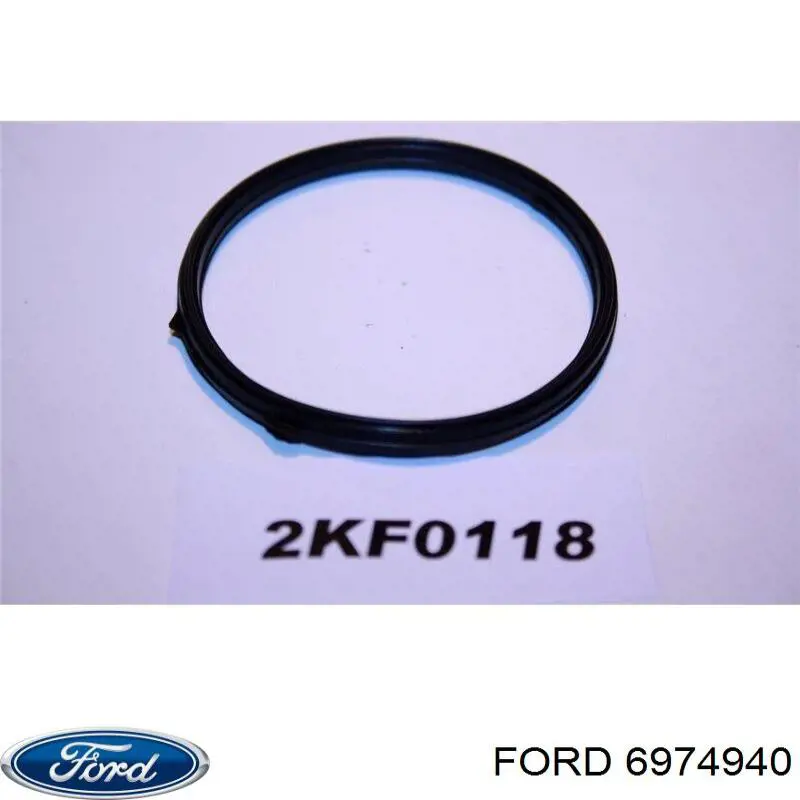 6974940 Ford Vedante de termostato