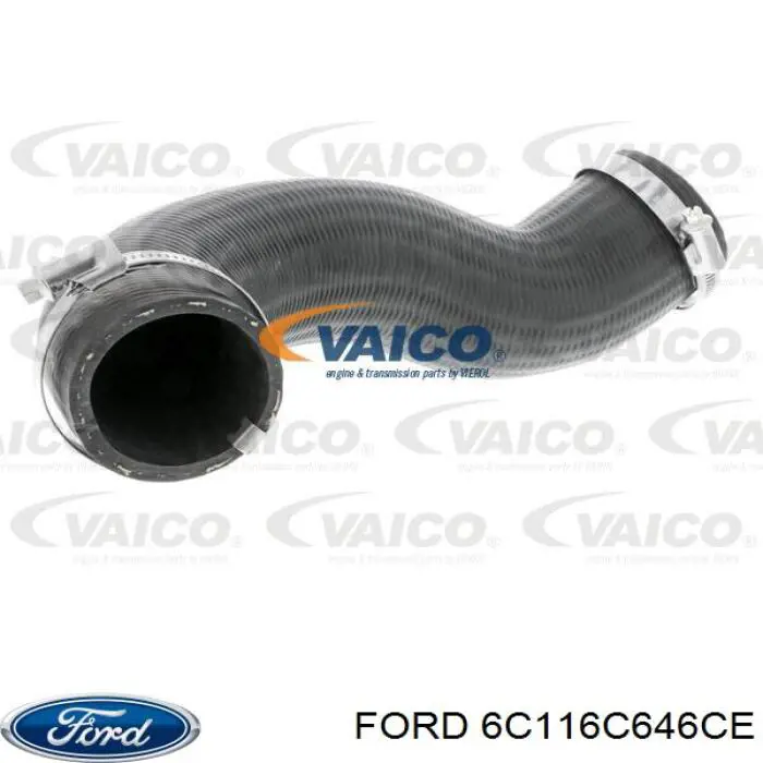 6C116C646CE Ford Mangueira (cano derivado) de intercooler