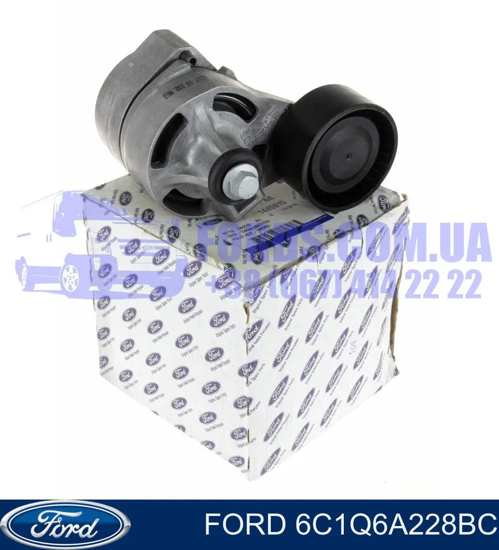 Compre 6C1Q6A228BC Ford Reguladora de tensão da correia de transmissão