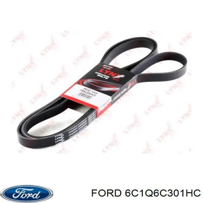 Correia dos conjuntos de transmissão Ford 6C1Q6C301HC preço, a partir de 34,57 USD