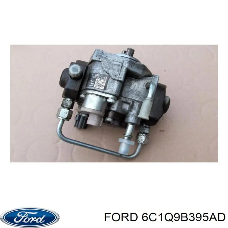 6C1Q9B395AD Ford Bomba de combustível de pressão alta