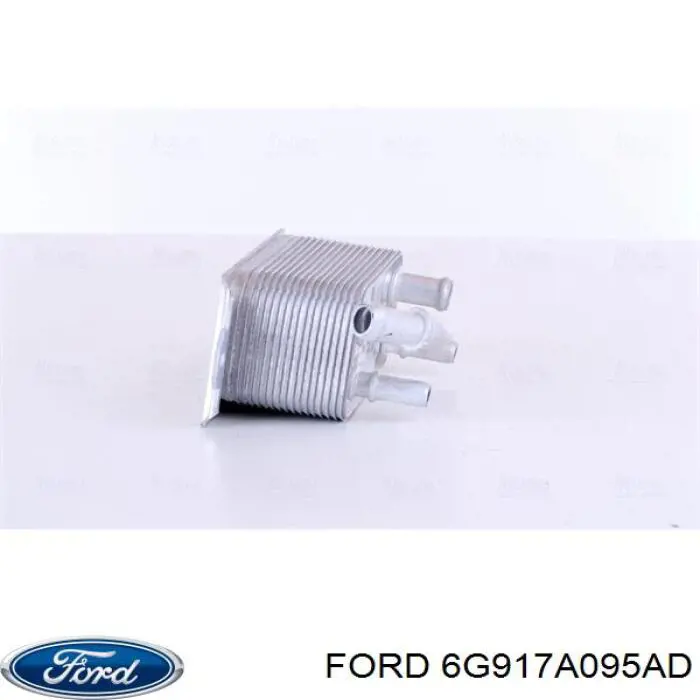 6G917A095AD Ford Radiador de óleo