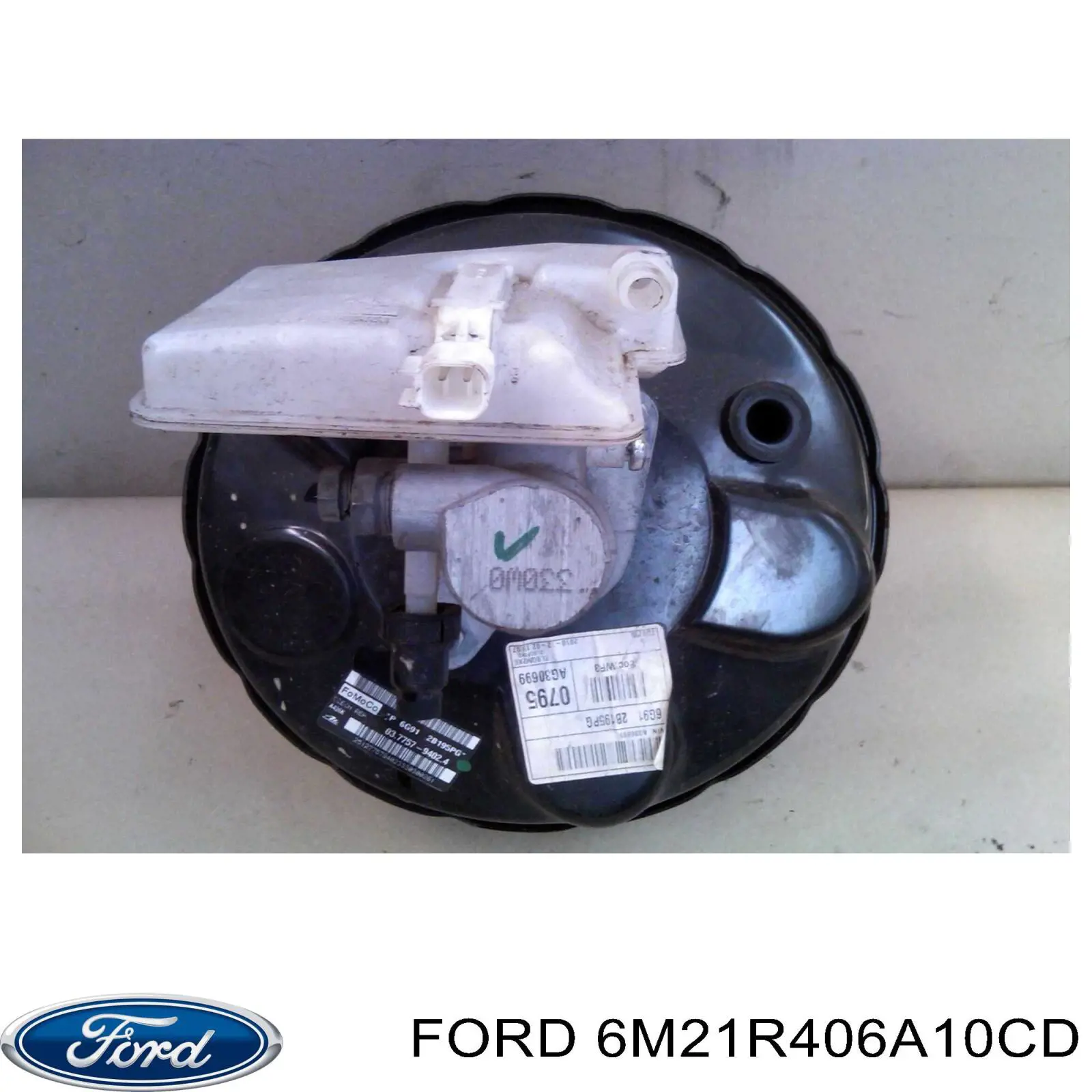 6M21R406A10CD Ford Amortecedor de tampa de porta-malas (de 3ª/5ª porta traseira)
