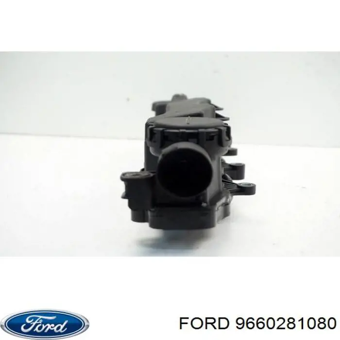 Compre 9660281080 Ford Tampa de válvulas