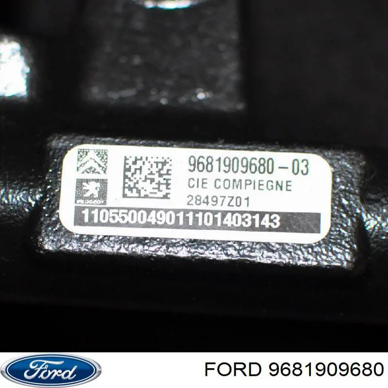 9681909680 Ford Distribuidor de combustível (rampa)
