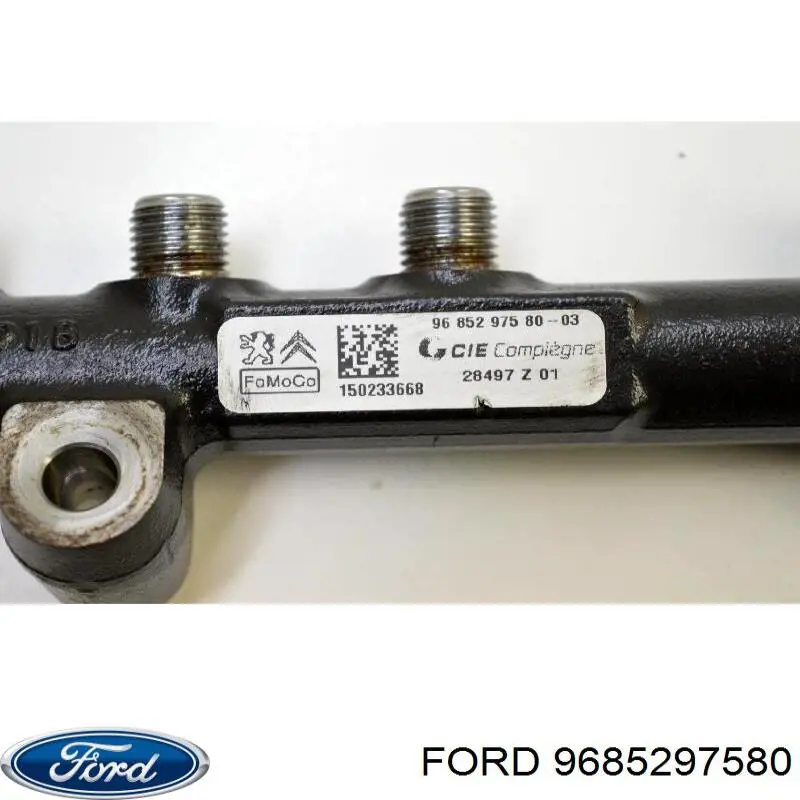 Distribuidor de combustível (rampa) Ford 9685297580