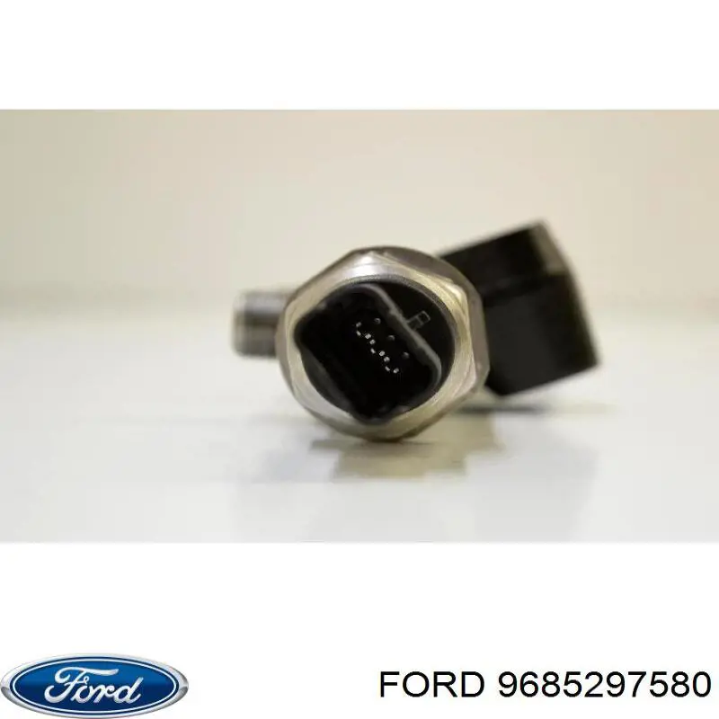 9685297580 Ford Distribuidor de combustível (rampa)