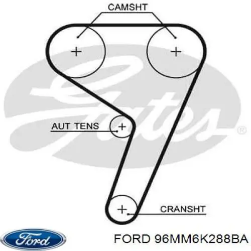 Compre 96MM6K288BA Ford Correia do mecanismo de distribuição de gás