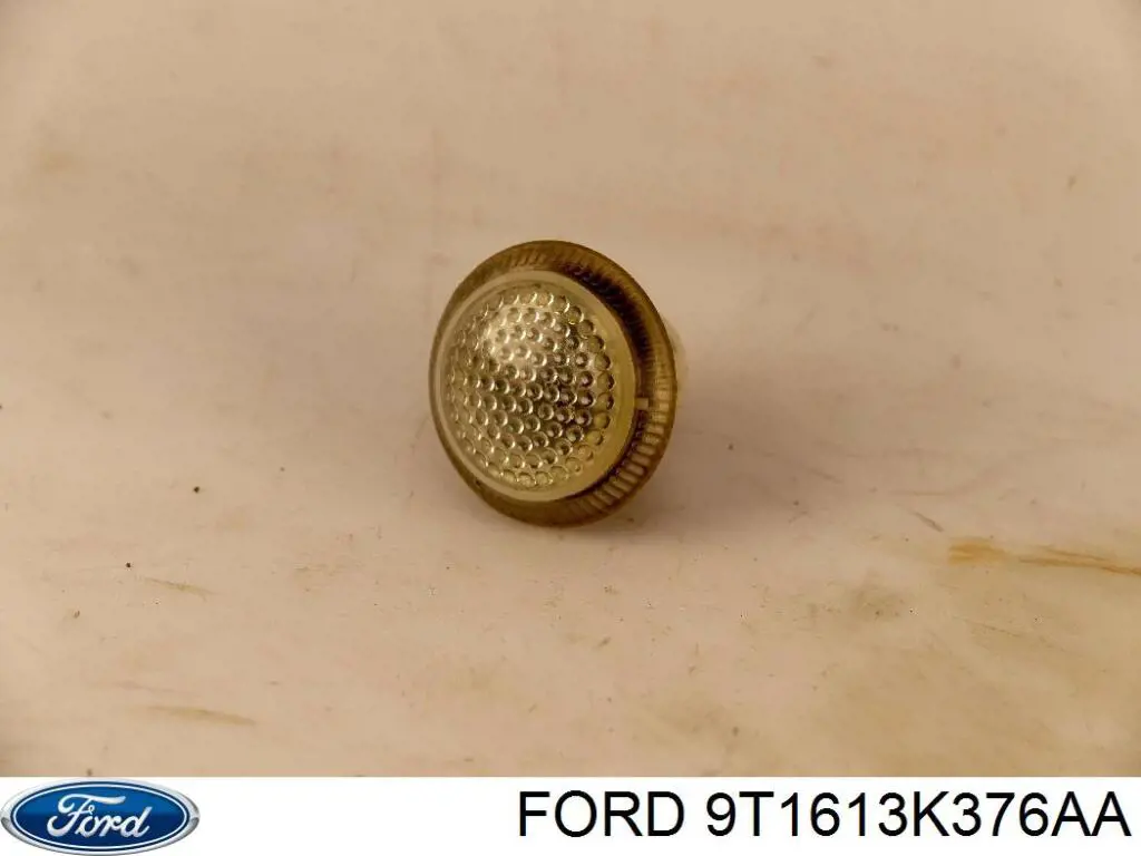 Compre 4972773 Ford Luz intermitente no pára-lama