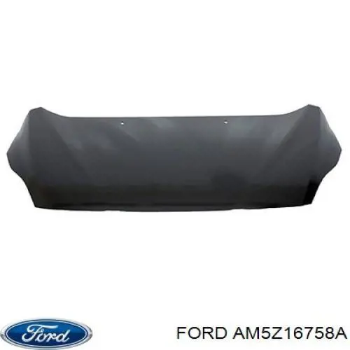 Compre AM5154424AD Ford Pára-choque (grade de proteção) da capota