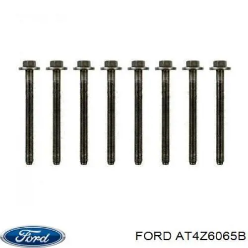 AT4Z6065B Ford Parafuso de cabeça de motor (CBC)