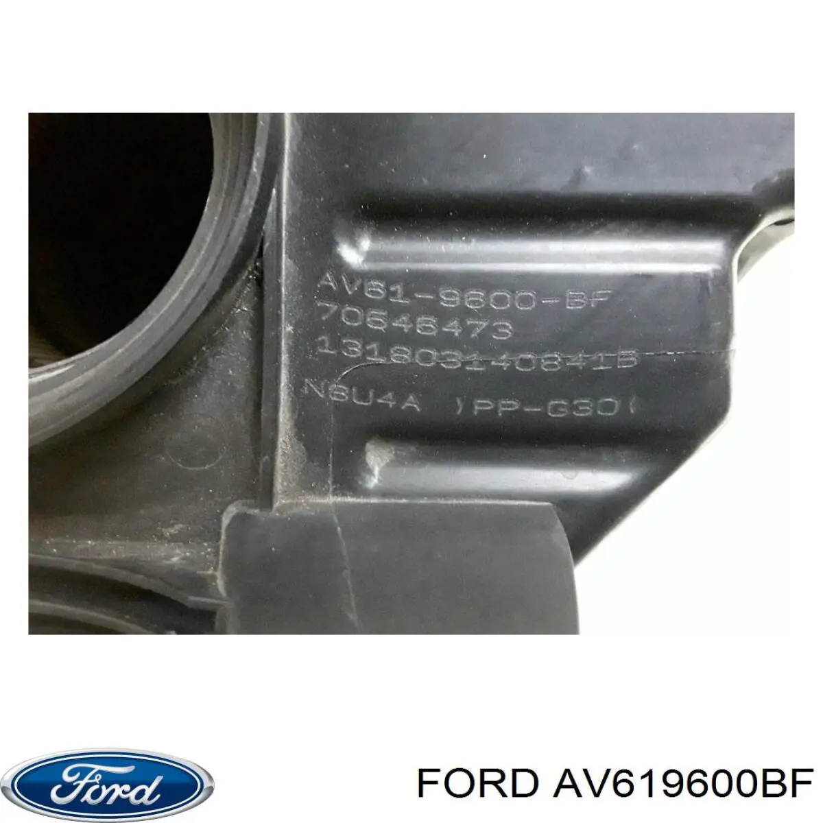 AV619600BF Ford 