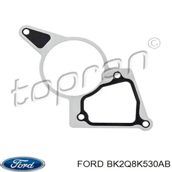 BK2Q8K530AB Ford Vedante de bomba de vácuo