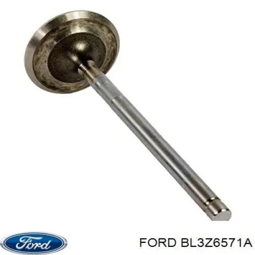 Bucim de válvula (coletor de óleo), admissão/escape Ford BL3Z6571A preço, a partir de 3,49 USD