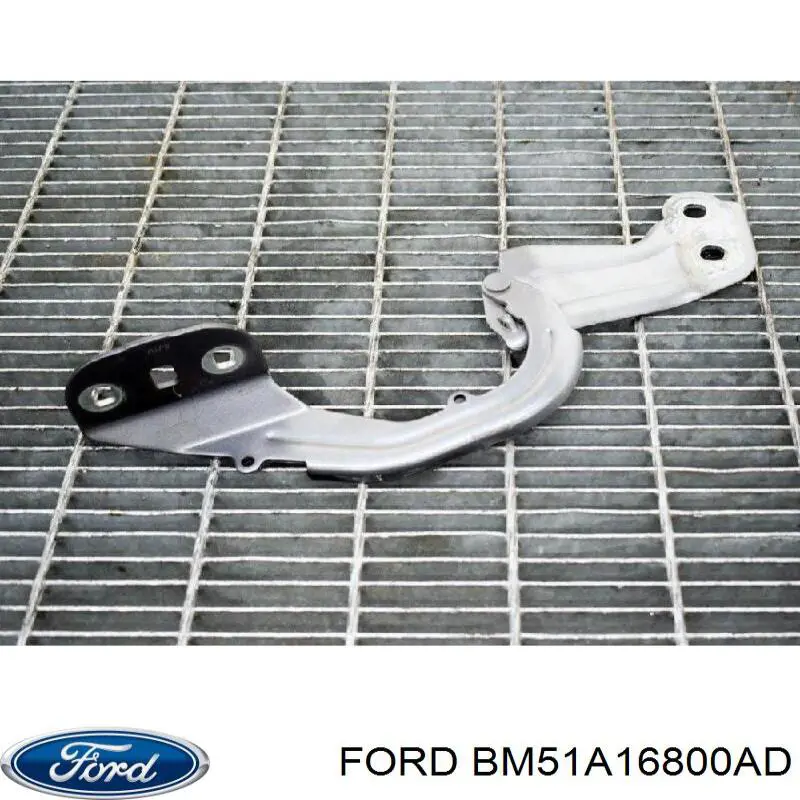 Gozno da capota direito Ford BM51A16800AD preço, a partir de 39,60 USD