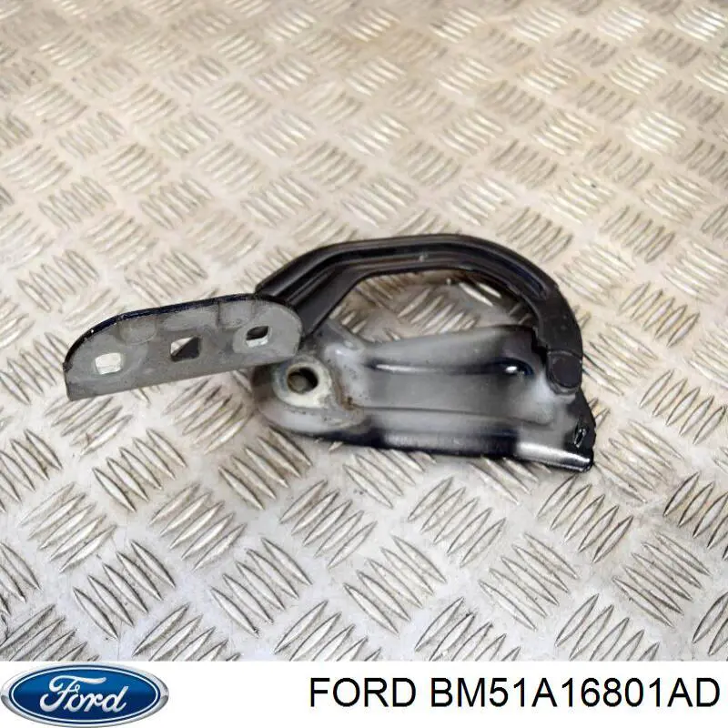 Gozno da capota esquerdo Ford BM51A16801AD preço, a partir de 33,09 USD