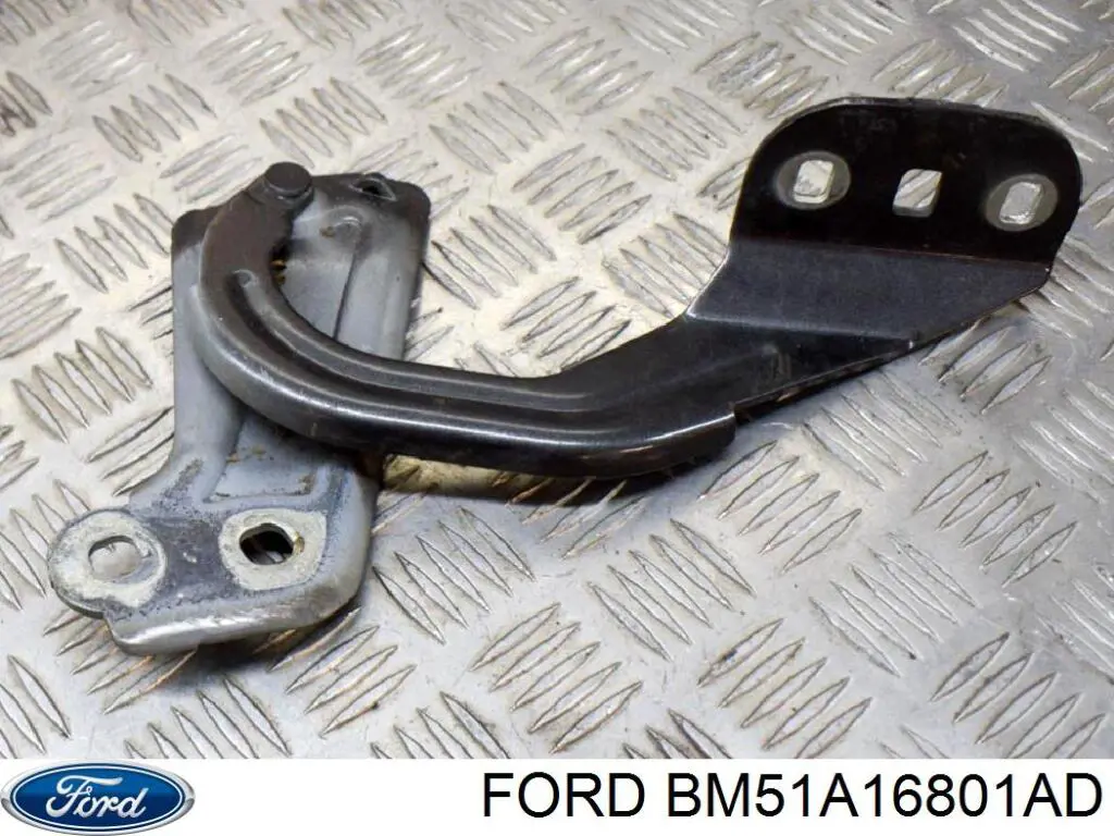 Compre BM51A16801AD Ford Gozno da capota esquerdo