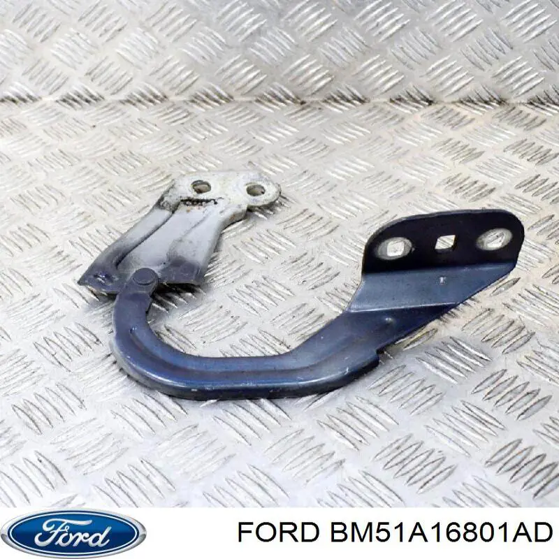 BM51A16801AD Ford Gozno da capota esquerdo