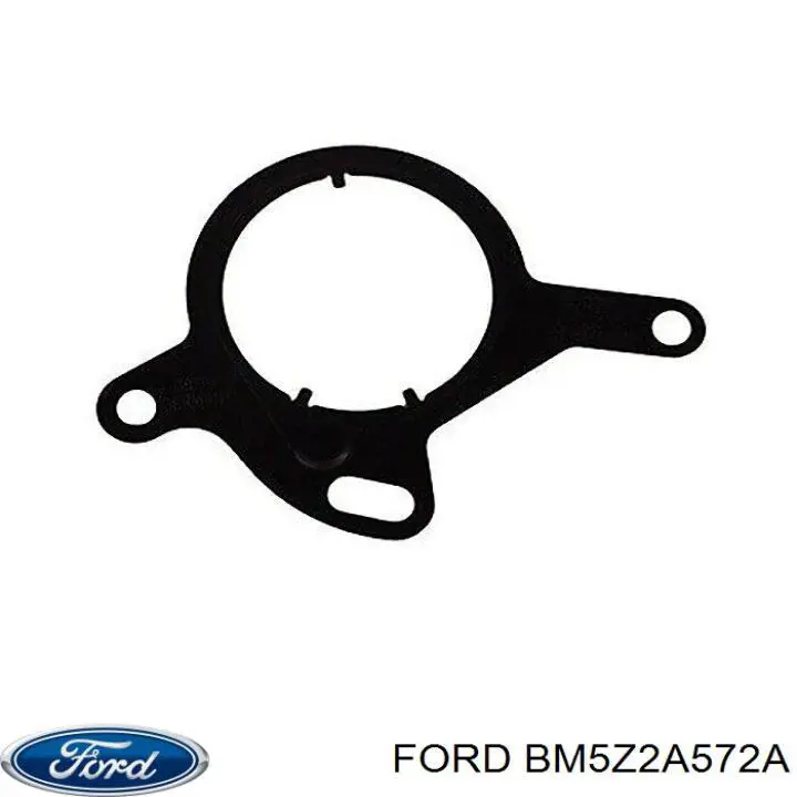 BM5Z2A572A Ford Vedante de bomba de vácuo