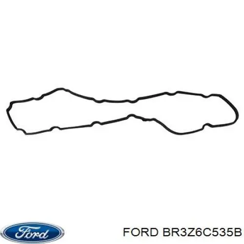 Compre BR3E6P251BA Ford Vedante anular da cavidade de vela