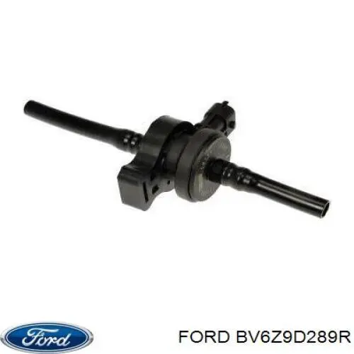 Compre BV619G866BA Ford Válvula de adsorvedor dos vapores de combustível