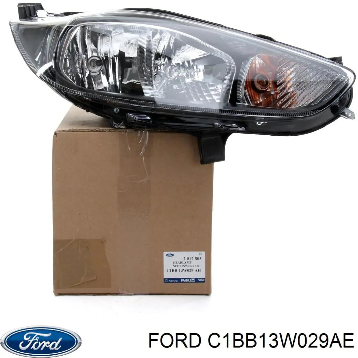 C1BB13W029AE Ford Luz direita