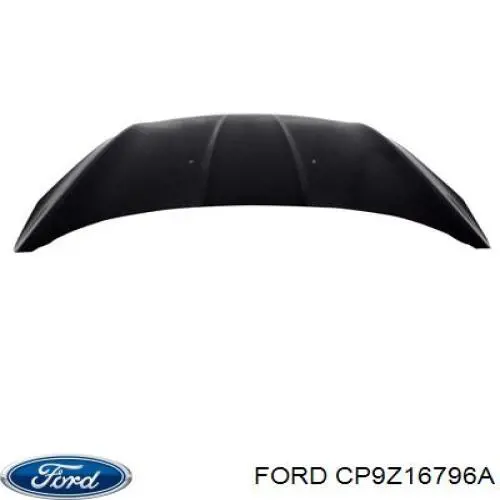 Compre CP9Z16796A Ford Gozno da capota direito