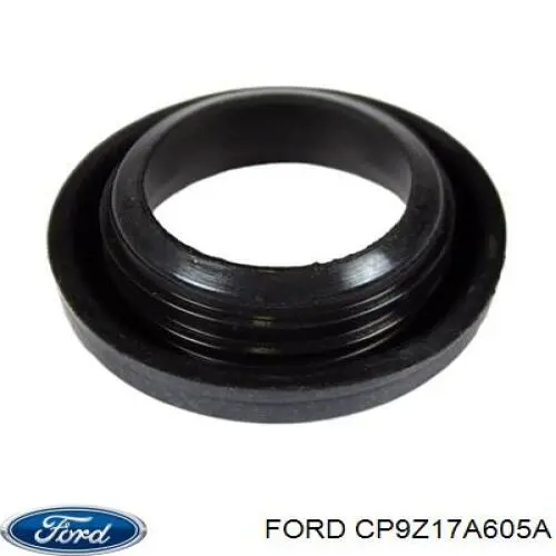 1708628 Ford Gargalo do tanque de fluido para lavador
