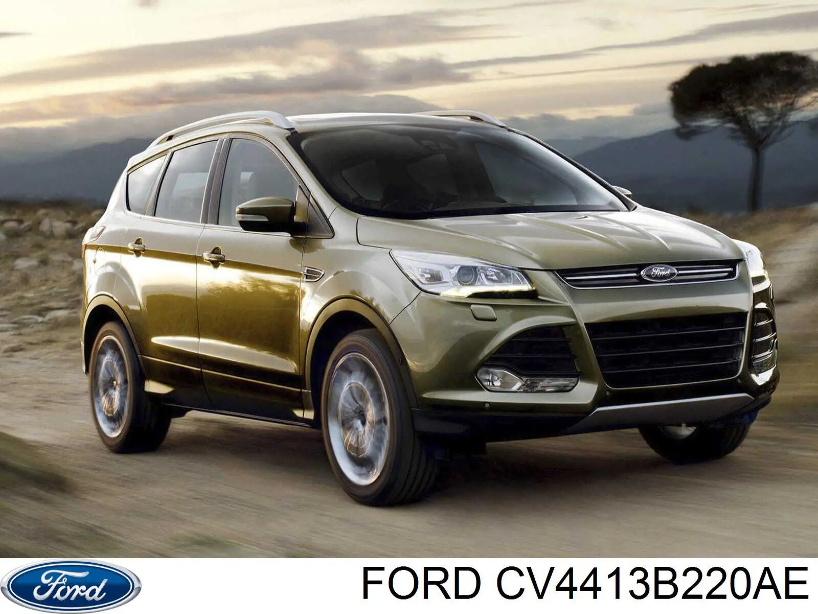 Compre 1849466 Ford Luzes de nevoeiro direitas
