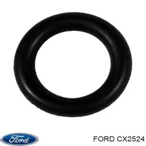 CX2524 Ford Adsorvedor dos vapores de combustível