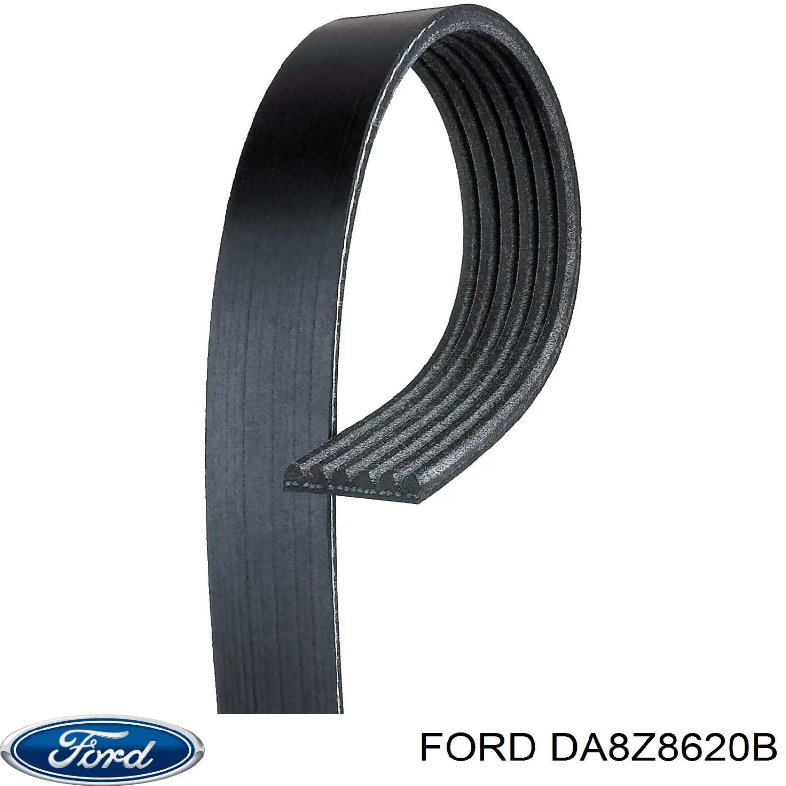 Correia dos conjuntos de transmissão Ford DA8Z8620B preço, a partir de 16,98 USD