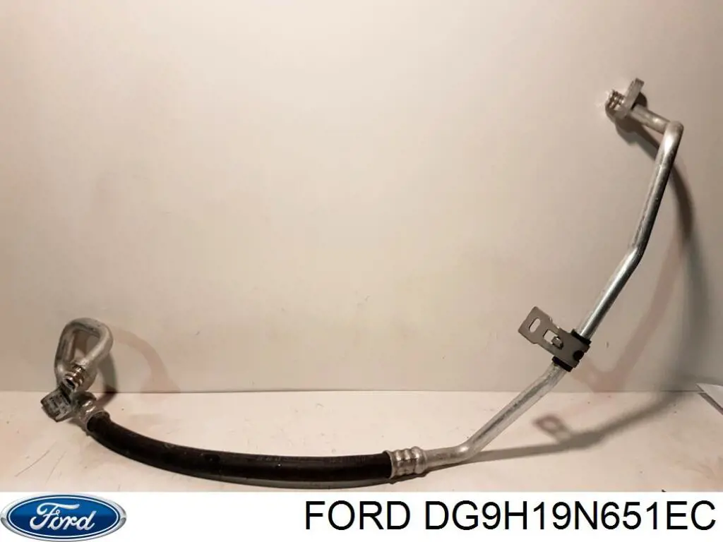 DG9H19N651EC Ford 