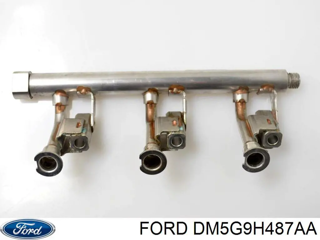 Compre 1798431 Ford Distribuidor de combustível (rampa)