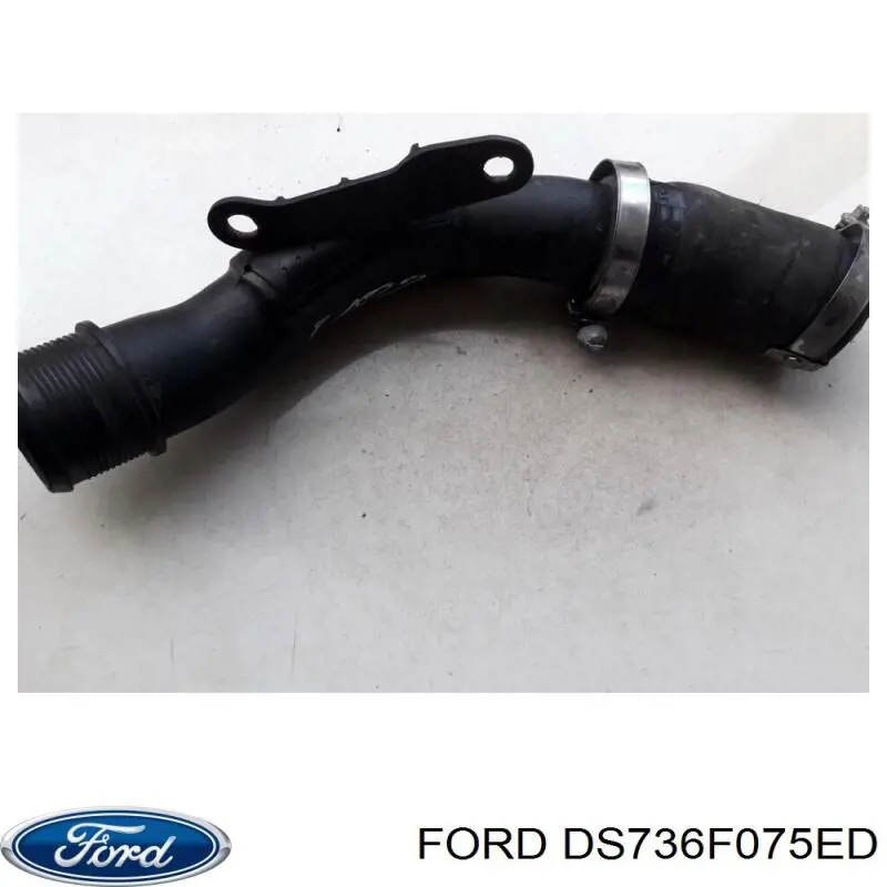 Compre F4B16F075AA Ford Mangueira (cano derivado) de intercooler