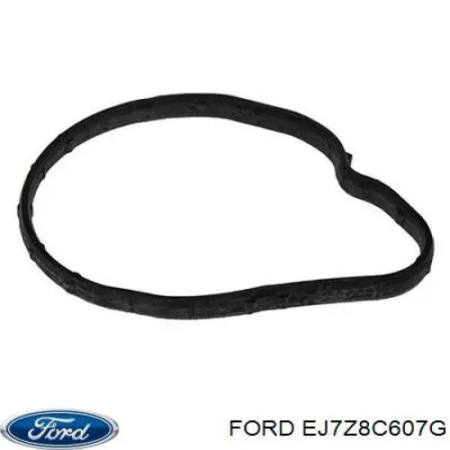 EJ7Z8C607G Ford Difusor do radiador de esfriamento, montado com motor e roda de aletas