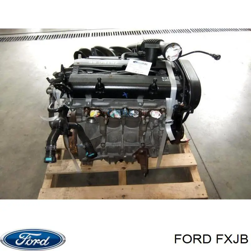 FXJB Ford Motor montado