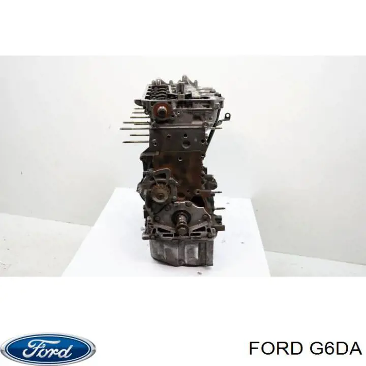 Motor montado Ford C-Max  DM2
