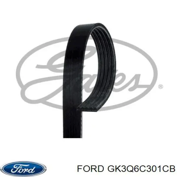 GK3Q6C301CB Ford Correia dos conjuntos de transmissão