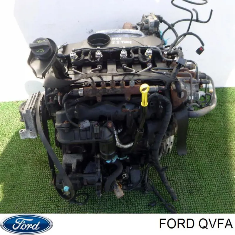 QVFA Ford Motor montado
