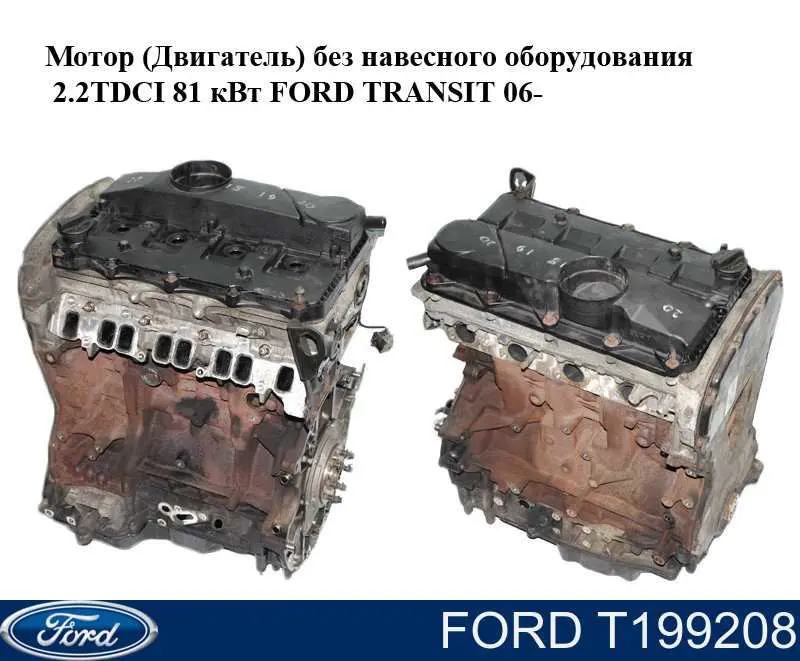 T199208 Ford Reguladora de tensão da cadeia do mecanismo de distribuição de gás