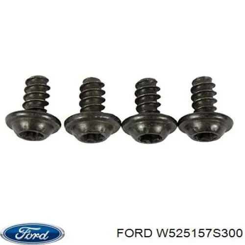 W525157S300 Ford 