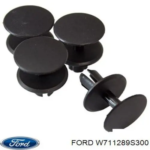 Compre W711289S300 Ford 