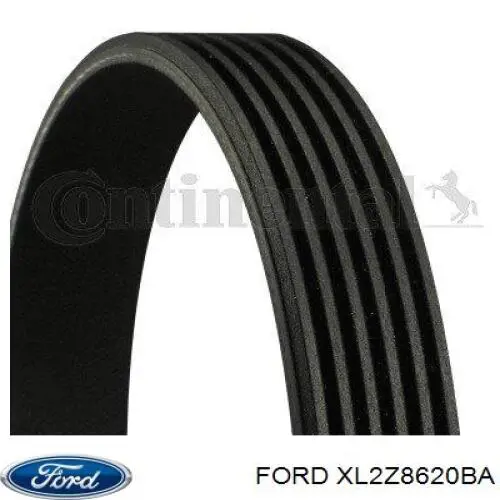 Correia dos conjuntos de transmissão Ford XL2Z8620BA preço, a partir de 32,96 USD