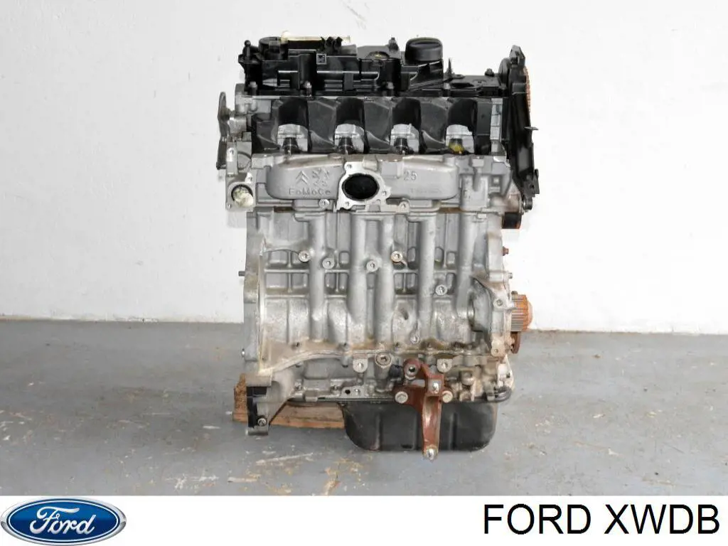 Motor montado Ford XWDB