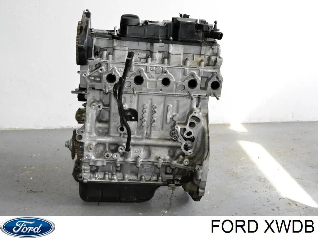 XWDB Ford Motor montado