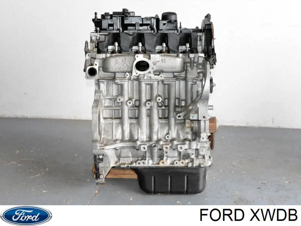 XWDB Ford Motor montado