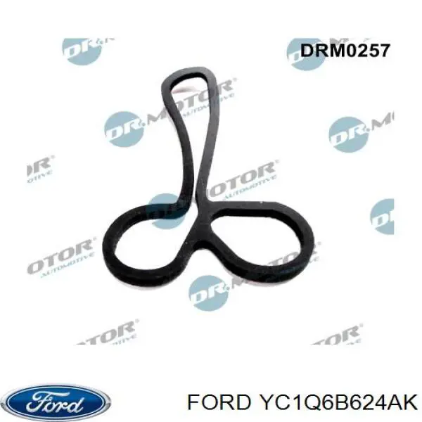 YC1Q6B624AK Ford Caixa do filtro de óleo